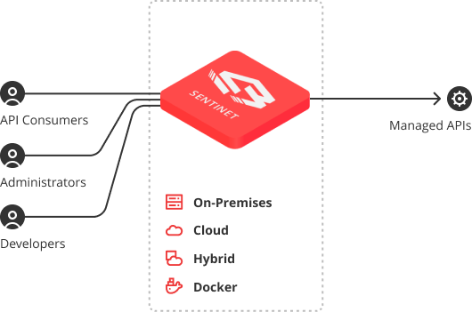 Why Sentinet API Management