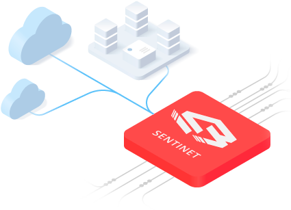 sentinet on-premises