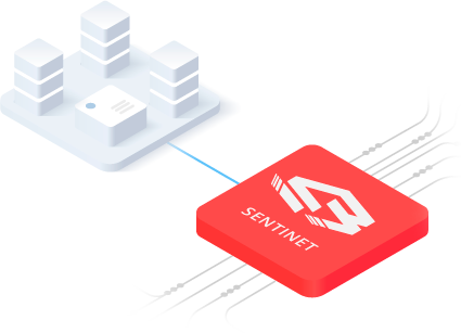 Sentinet On-premises