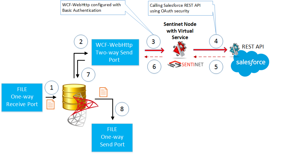 Salesforce BizTalk Setup